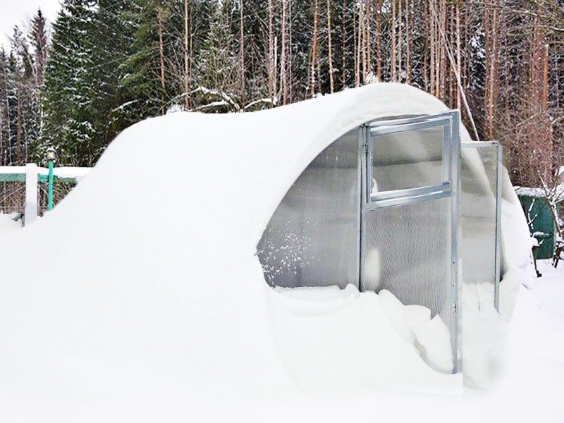 Теплица из поликарбоната Сибирская 3,5 двустворчатая - 6 м (труба 40х20, шаг 0,5 метра)- фото3